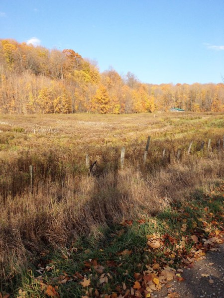 Fall Colours ~ Photo by Patrice Fall Colours ~ Photo by Patrice