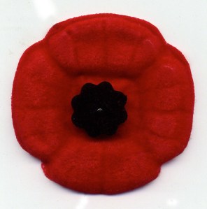 Veteran's Poppy Veteran's Poppy