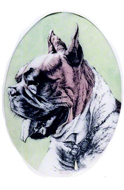 Boxer ~ Art by Patrice