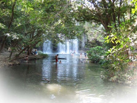 Costa Rican Stream ~ Photo by Brent