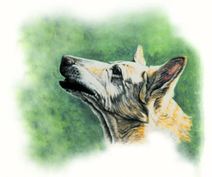 Love and Tenderness ~ Watercolour Art by Patrice