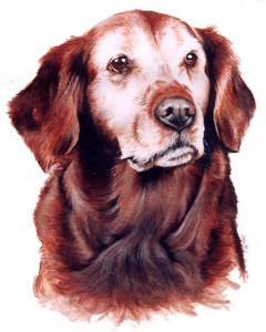 Misty ~ Watercolour Painting by Patrice