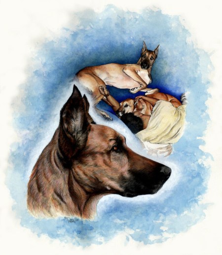 Brandy ~ Watercolour Art by Patrice