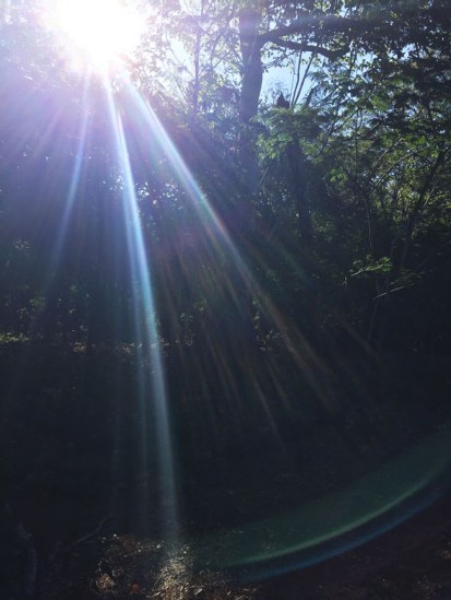 Bright Light ~ Photo by Patrice