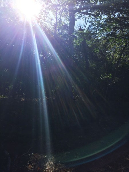 Making Light ~ Photo by Brent
