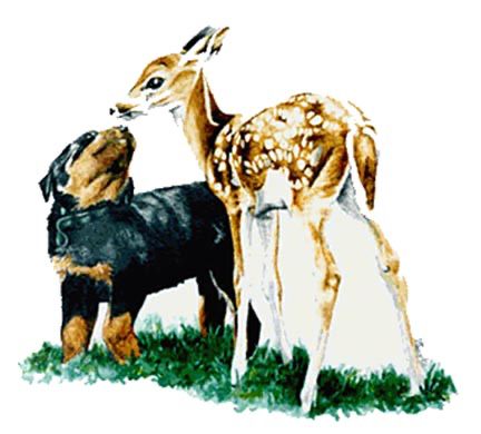 Close By And Near To Me ~ Watercolour Illustration by Patrice