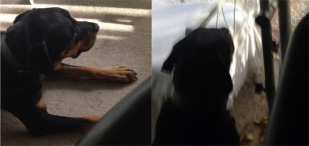 WP5k - Day 2b - Running Partner
