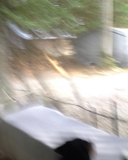 WP - 5k - Day 2 - Distorted View