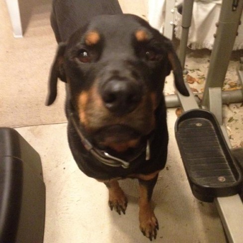 WP - 5k - Day3 - Running Partner