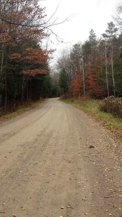 WP-5k - Day6 - Winding Dirt Road - Photo by Patrice