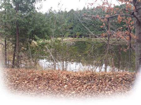 WP-5k - Day6 - Quiet Pond - Photo by Patrice