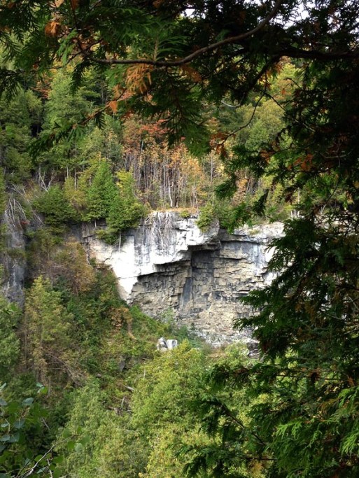 Eugenia Falls Cliff ~ Photo by Patrice Eugenia Falls Cliff ~ Photo by Patrice