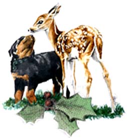 Holly with Rottie and Fawn ~ Illustration by Patrice Holly with Rottie and Fawn ~ Illustration by Patrice