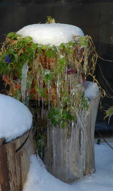 Weeping ice ~ Photo by Patrice Weeping ice ~ Photo by Patrice
