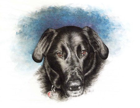 Shelby Painting ~ Watercolour Art by Patrice