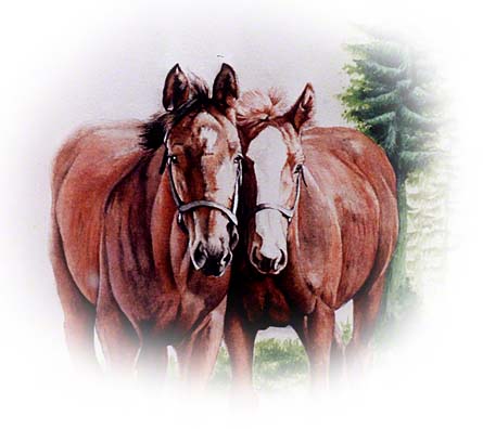 In memory of the 43 race horses tragically lost in a fire on Monday. In memory of the 43 race horses tragically lost in a fire on Monday.