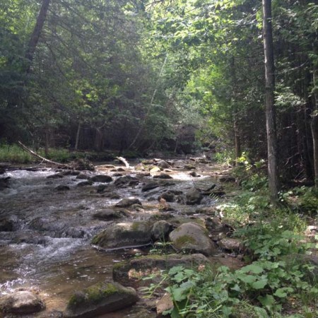 Boyne River - LookoutPoint ~ Photo by Patrice Boyne River - LookoutPoint ~ Photo by Patrice