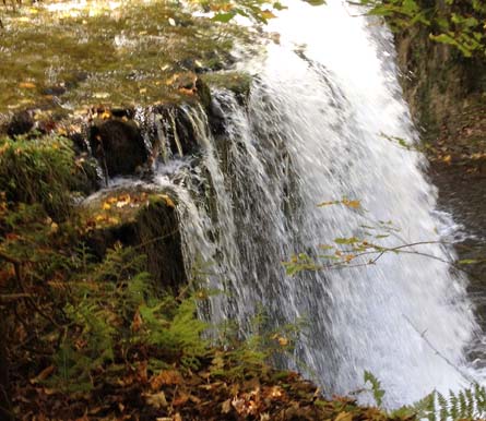 HoggFalls ~ Photo by Patrice