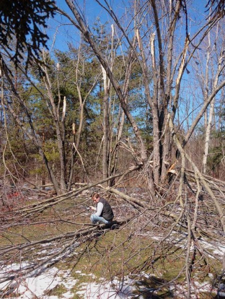 Ice Storm Aftermath ~ Photo by Patrice