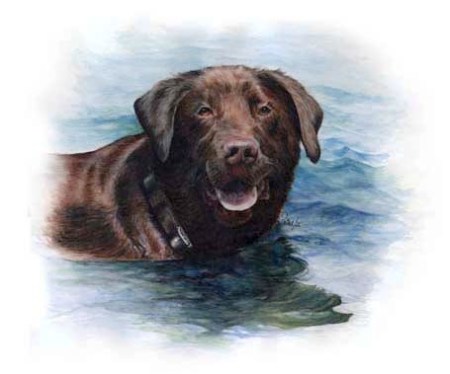 Harvey ~ Watercolour by Patrice Harvey ~ Watercolour by Patrice