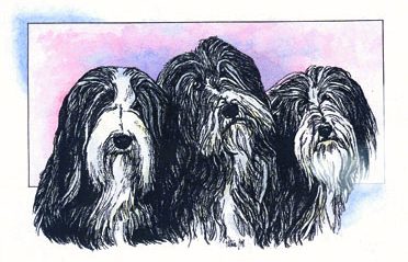 Three Bearded Ladies ~ Illustration by Patrice Three Bearded Ladies ~ Illustration by Patrice