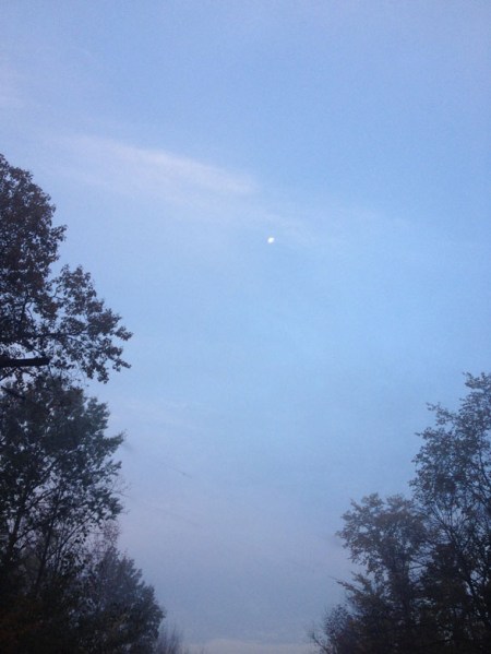 Day Moon ~ Photo by Patrice Day Moon ~ Photo by Patrice