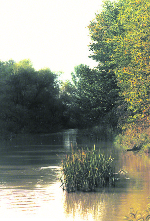 Crossing at Nanticoke Creek ~ photo by Patrice Crossing at Nanticoke Creek ~ photo by Patrice