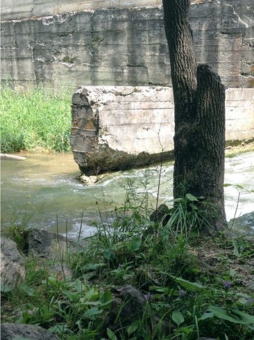 Old Mill on the Boyne River ~ Photo by Patrice