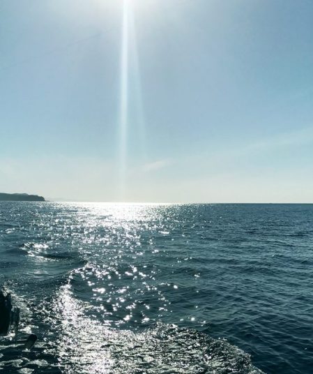 Sunlight on Water ~ Photo by Patrice Sunlight on Water ~ Photo by Patrice