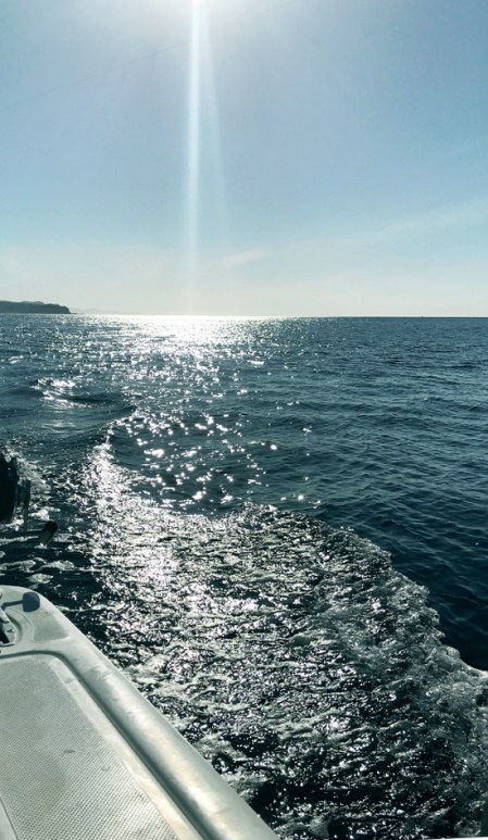 Sunlight on Water ~ Photo by Patrice