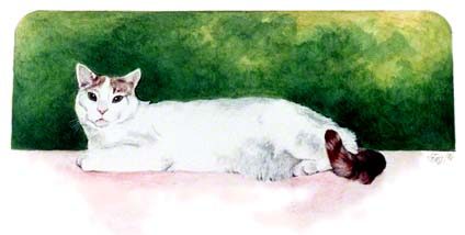 Sharon's Kitty ~ Watercolour by Patrice Sharon's Kitty ~ Watercolour by Patrice