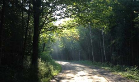 Filtered Sun ~ photo by Patrice
