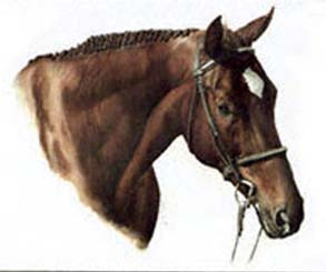 Dave's Horse ~ illustration by Patrice Dave's Horse ~ illustration by Patrice