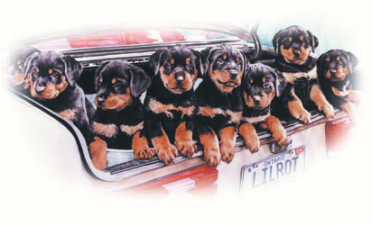 Rottie Pups ~ Painting by Patrice Rottie Pups ~ Painting by Patrice