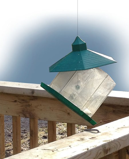 Trashed Feeder ~ Photo by Patrice