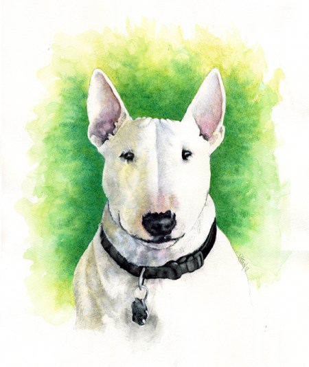 Parker ~ Watercolour Art by Patrice