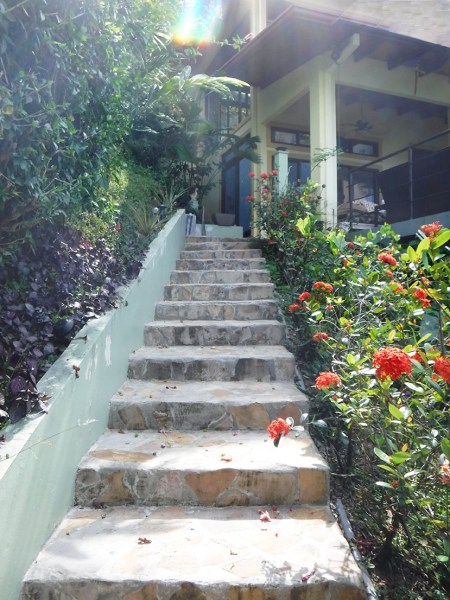 Stairs ~ Photo by Patrice Stairs ~ Photo by Patrice