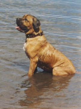 Kado ~ Photo by those who loved him