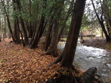 Fall Rain ~ Photo by Patrice Fall Rain ~ Photo by Patrice