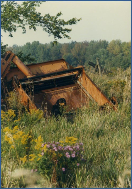 Teddy at the farm ~ Photo by Patrice