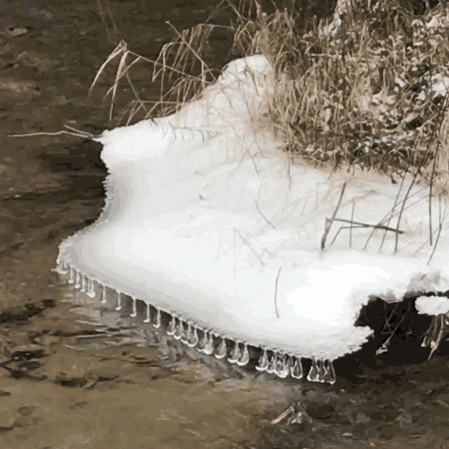 Winter Ice and Water ~ Photo by Patrice Winter Ice and Water ~ Photo by Patrice