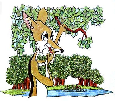 Jackal ~ Illustration by Patrice for Holt, Rinehart and Winston's reader, 'Flights Near And Far' Jackal ~ Illustration by Patrice for Holt, Rinehart and Winston's reader, 'Flights Near And Far'