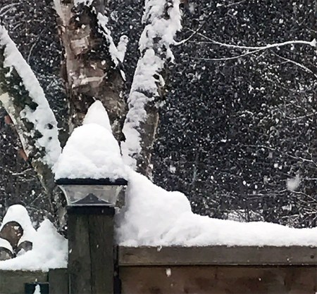 Winter Snow ~ Photo by Patrice
