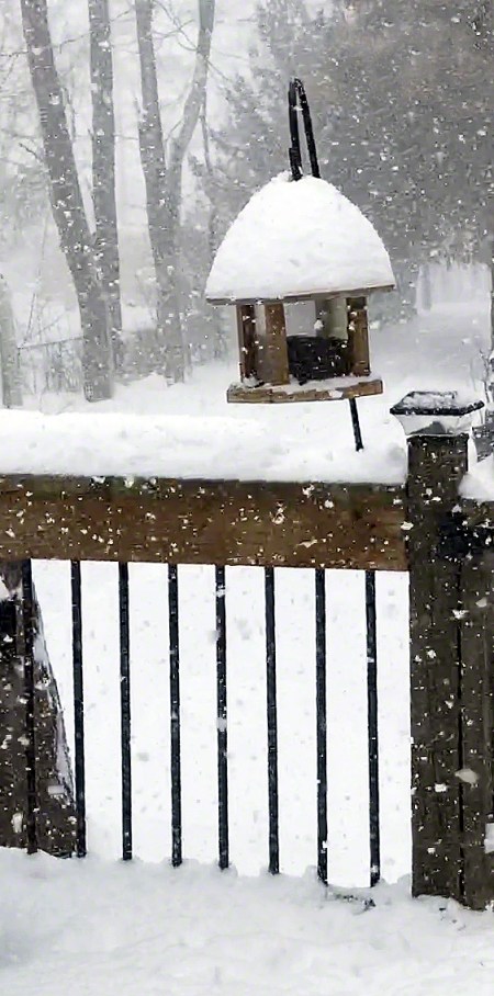 Snow falling on bird feeder ~ Photo by Patrice Snow falling on bird feeder ~ Photo by Patrice