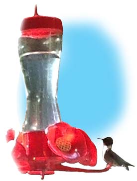 Hummingbird and Feeder ~ Photo by Patrice Hummingbird and Feeder ~ Photo by Patrice
