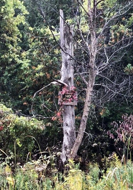 No Trespassing ~ Photo by Patrice No Trespassing ~ Photo by Patrice