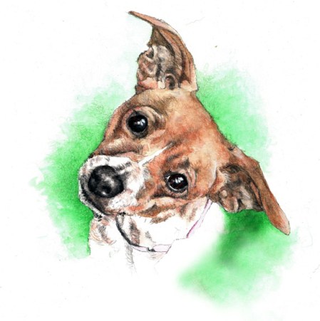 Foxy Painting ~ Watercolour Art by Patrice