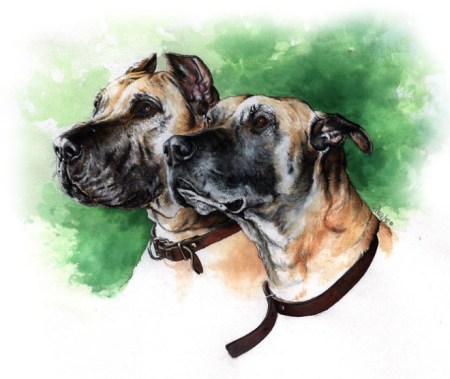 Great Danes from Purina's Hall of Fame ~ Watercolour by Patrice Great Danes from Purina's Hall of Fame ~ Watercolour by Patrice