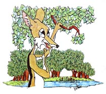 Jackal ~ Illustration by Patrice for Holt, Rinehart and Winston's reader, 'Flights Near And Far' Jackal ~ Illustration by Patrice for Holt, Rinehart and Winston's reader, 'Flights Near And Far'
