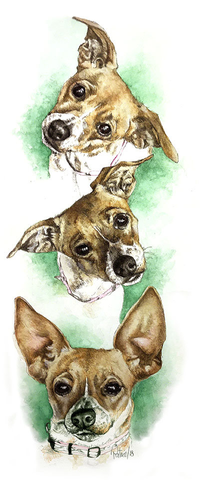 3 Faces of Foxy ~ Watercolour Painting by Patrice